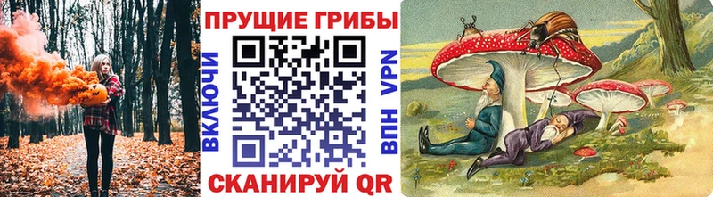 МЕГА ссылки  Кинешма  Псилоцибиновые грибы GOLDEN TEACHER 